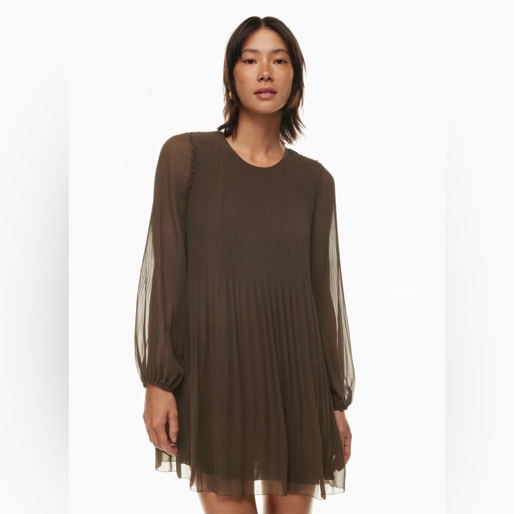 Aritzia Wilfred Daydreamer Pleated chiffon mini dress